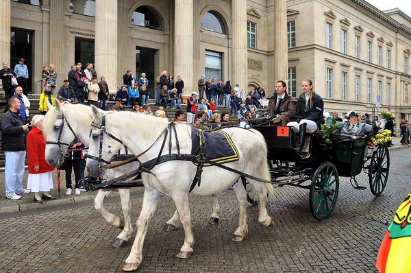 Schuetzen2011   477.jpg
